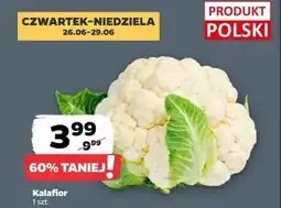 Netto Kalafior oferta