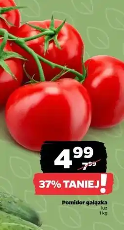 Netto Pomidory gałązka oferta