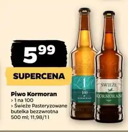 Netto Piwo Kormoran Świeże Niepasteryzowane oferta