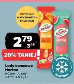 Netto Lód arbuz Hortex oferta