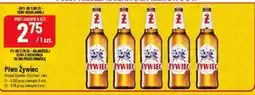 Polomarket Piwo Żywiec oferta