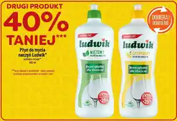 Polomarket Płyn do mycia naczyń Ludwik oferta