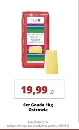 Torimpex Ser Ostrowia oferta