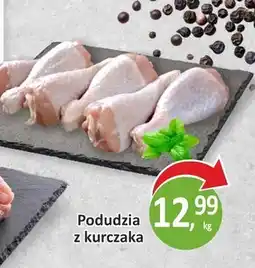 Passa Podudzie z kurczaka oferta