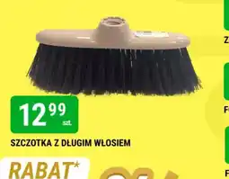 bi1 Szczotka z długim włosiem oferta