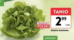 Intermarche Sałata masłowa polska, 1 szt. Intermarche oferta