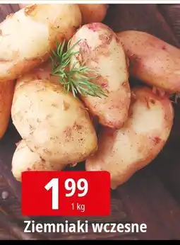 E.Leclerc Ziemniaki wczesne Leclerc oferta