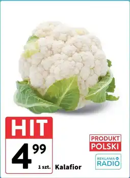 Intermarche Kalafior polski 1 szt. Intermarche oferta