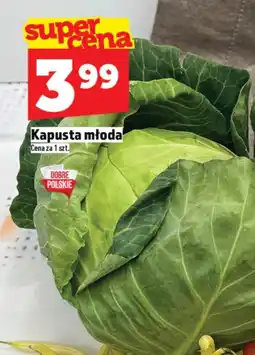 Topaz Kapusta młoda Na dobre oferta