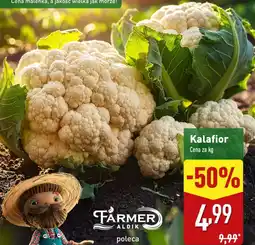 ALDI Kalafior Aldi oferta