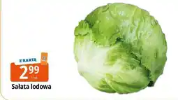 E.Leclerc Sałata lodowa Leclerc oferta