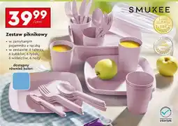 Biedronka Zestaw piknikowy oferta