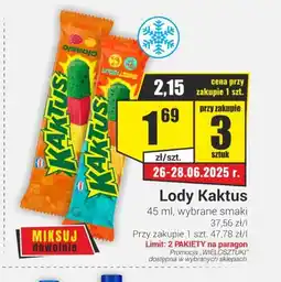Premium Nasz Sklep Lody Kaktus oferta