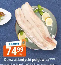 E.Leclerc Dorsz atlantycki poledwica Leclerc oferta