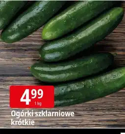 E.Leclerc Ogórki szklarniowe krótkie Leclerc oferta
