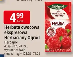 E.Leclerc Herbata owocowa ekspresowa Herbapol oferta