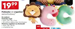 Biedronka Poduszka samochodowa oferta