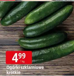 E.Leclerc Ogórek krótki szklarniowy oferta