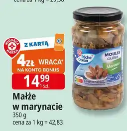 E.Leclerc Małże w marynacie Wiodąca Marka Peche Ocean oferta