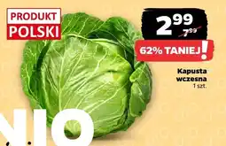 Netto Kapusta wczesna Netto oferta