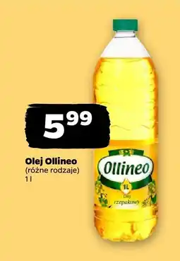 Netto Olej Oilineo różne rodzaje oferta