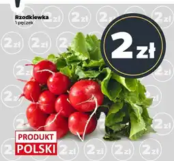 Netto Rzodkiewka Netto oferta