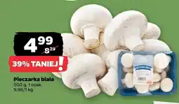 Netto Pieczarka biała Netto oferta