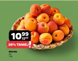 Netto Morela Netto oferta
