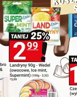 Hitpol Landryny Wedel oferta