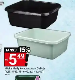 Hitpol Miska Molly kwadratowaGalicja oferta