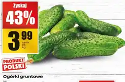 Supeco Ogórki gruntowe Supeco oferta