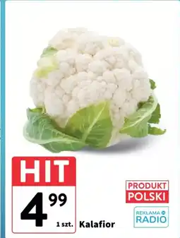 Intermarche Kalafior oferta