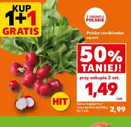 Kaufland Polska rzodkiewka oferta