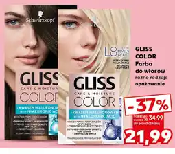 Kaufland Gliss Color Farba do włosów oferta