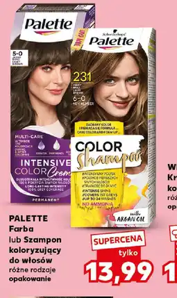 Kaufland Palette Farba lub Szampon koloryzujący do włosów oferta