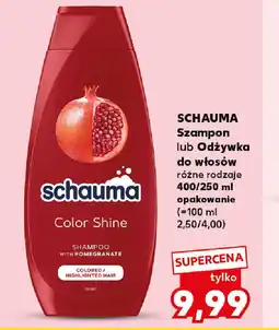 Kaufland Schauma Szampon lub Odżywka do włosów oferta