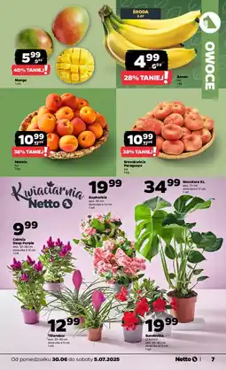Netto Banany oferta