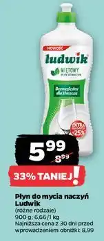 Netto Płyn do mycia naczyń miętowy Ludwik oferta