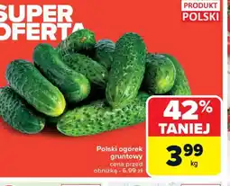 Carrefour Polski ogórek gruntowy oferta