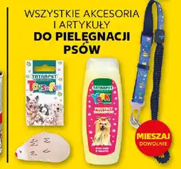 Wszystkie akcesoria i artykuły do pielęgnacji psów