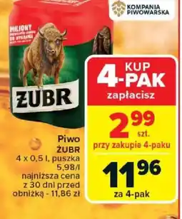Carrefour Piwo Zubr oferta