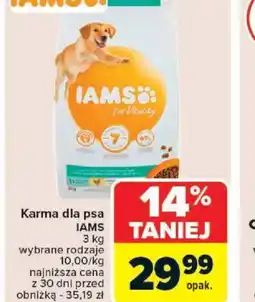 Carrefour Karma dla psa IAMS oferta