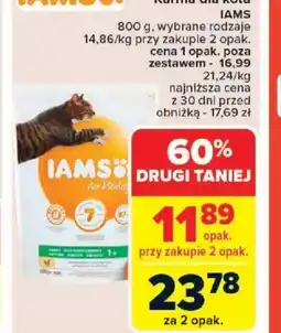 Carrefour Karma dla kota IAMS oferta