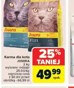 Carrefour Karma dla kota Josera oferta