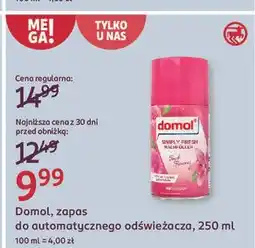 Rossmann Odświeżacz powietrza fresh flowers zapas Domol oferta
