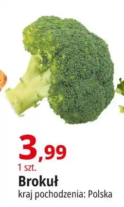 E.Leclerc Brokuł oferta