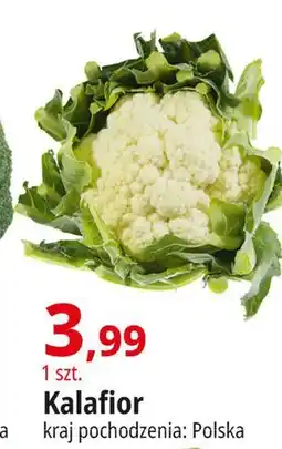 E.Leclerc Kalafior oferta