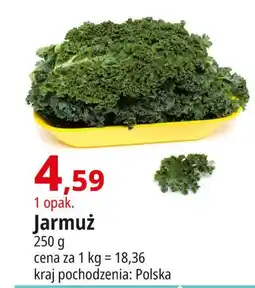 Jarmuż