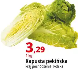 E.Leclerc Kapusta pekińska oferta