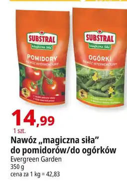 E.Leclerc Nawóz do ogórków Substral Magiczna Siła oferta